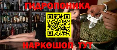 шишки Северобайкальск
