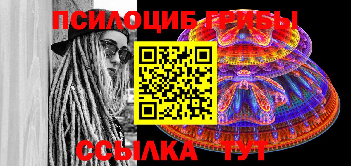 Псилоцибиновые грибы Psilocybine cubensis  Вход с VPN  Ачхой-Мартан 