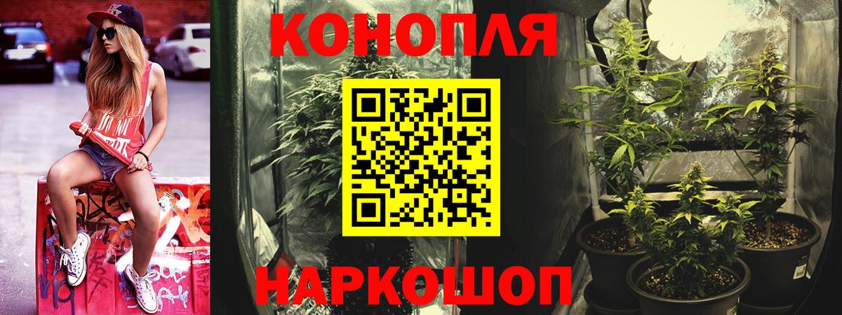 МАРИХУАНА конопля Ачхой-Мартан